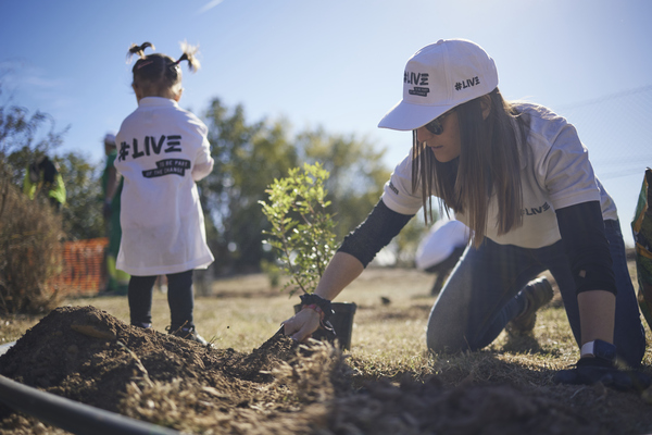 Damm organiza reforestaciones en Murcia y Barcelona