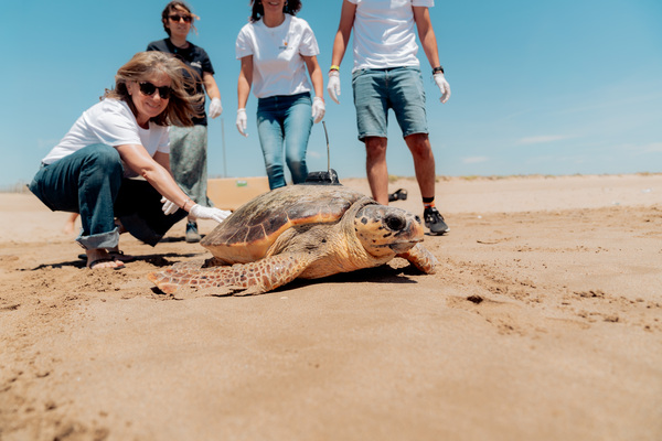 La Fundación CRAM y Damm liberan a la tortuga marina ‘August’ en la playa del Prat de Llobregat