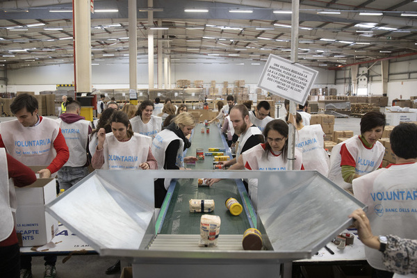 Personas voluntarias de Damm participan en el Banc dels Aliments