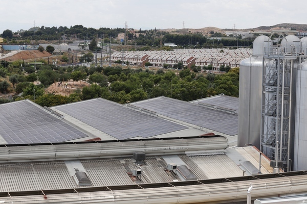 Estrella de Levante estrena una planta solar de autoconsumo