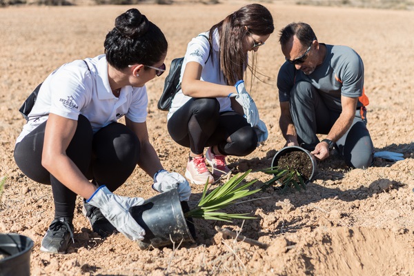 Damm impulsa la reforestació de la flora local a Múrcia i al Prat de Llobregat (Barcelona)