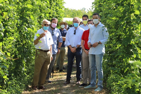 Estrella de Levante promotes the hop cultivation in Murcia