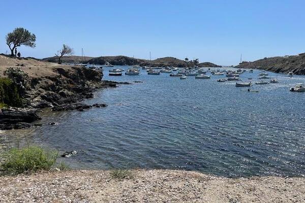 Estrella Damm se une al Centro de Estudios Avanzados de Blanes (CEAB-CSIC) para restaurar un bosque de algas en el Parc Natural del Cap de Creus, en concreto en la zona de Port Lligat (Cataluña). El proyecto, que reintroducirá algas pardas, o del género Cystoseira, concretamente la especie Gongolaria barbata, en su hábitat natural tras cuatro décadas extinta, busca devolver al ecosistema marino del mediterráneo uno de los hábitats más importantes para su diversidad y productividad.  Los bosques marinos de macroalgas fucales son considerados uno de los principales formadores de hábitats por su capacidad de proporcionar estructura, alimento y refugio a diversas especies marinas, representando así uno de los ecosistemas más ricos en biodiversidad del Mediterráneo. La alianza entre Estrella Damm y el CEAB-CSIC tiene como propósito revertir la deforestación de estas poblaciones marinas, que también actúan como zona de cría y producen bienes y servicios muy valiosos para los ecosistemas globales.   Estos hábitats, de los cuales se han hallado datos que confirman su presencia en la zona durante los años 80, se encuentran en una clara posición de regresión como respuesta a múltiples amenazas como pueden ser la destrucción del hábitat, la sobrepesca, la contaminación y el cambio climático.   El proceso de restauración del bosque marino de Port Lligat se realiza mediante la técnica de restauración de algas formadoras de bosques marinos, un procedimiento a través del cual se espera obtener a largo plazo nuevas poblaciones viables y autosuficientes en la zona localizada. Esta técnica ha sido descrita y aplicada con éxito por el equipo de investigación MarineForest del CEAB-CSIC. Gracias a la recolección de ramas fértiles de poblaciones donantes, se obtienen nuevos reclutas (mediante técnicas in-situ y ex -situ) que, de encontrarse en óptimas condiciones en la zona a restaurar, en un par de años serán fértiles y podrán contribuir a generar un bosque autosostenible.  El proyecto también pretende evaluar qué implicaciones va a 