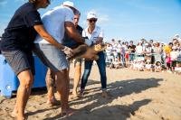 Macrolimpieza El Prat de Llobregat + liberación tortuga Daura 2022