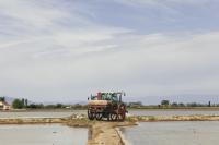 Día Mundial del Agua