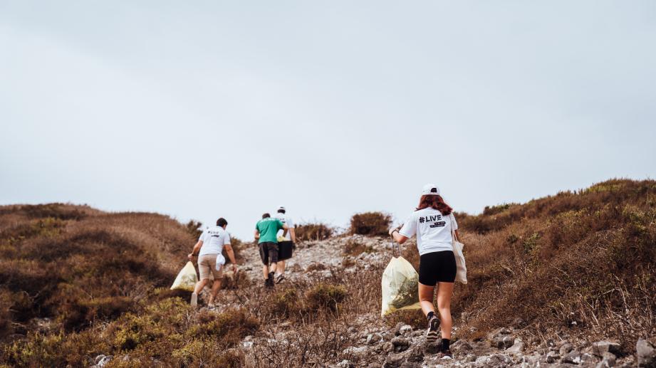 litter pickup activity