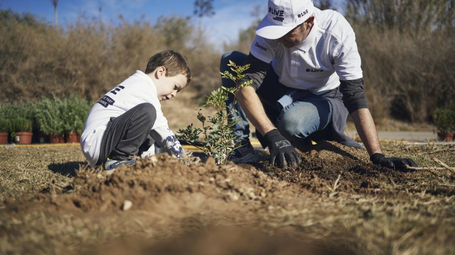 padre hijo plantando árbol