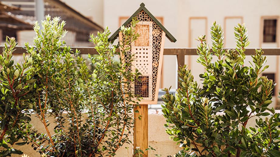 hotel de insectos