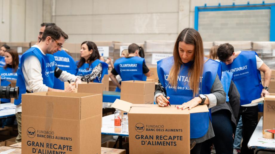 Voluntariat 2